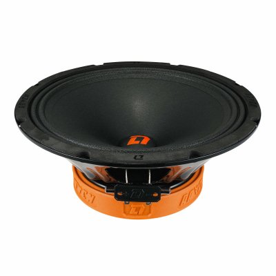 DL Audio Raven 250 V.2