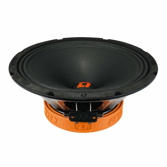 DL Audio Raven 250 V.2