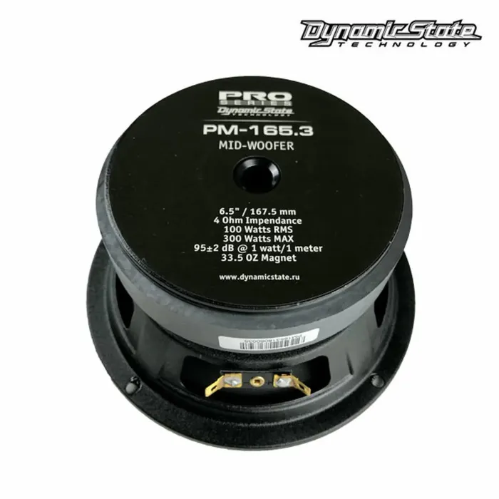 Dynamic State PM-165.3