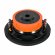 DL Audio Barracuda 6.5 Flat