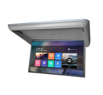 Потолочный Смарт ТВ 24&quot; ERGO ER24AT grey