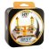 MTF HAU1207