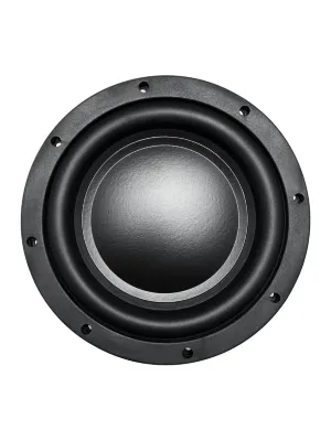 AMP by A.Vakhtin SWS-10D2