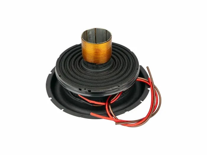 AURA RK-MONSTRO-12.D1 SPORT