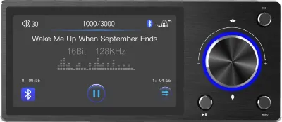 GOLDHORN Panel Controller with Display for Player  -  Проводной пульт ДУ с IPS экраном для устройств GoldHorn с Hi-Res плеером