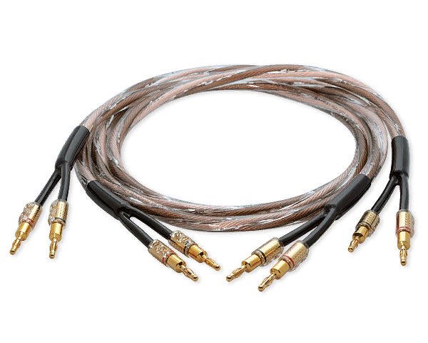 Daxx S182-20
