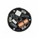 Rainbow SL PRO-C260