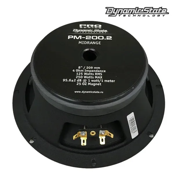 Dynamic State PM-200.2 PRO