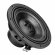 DL Audio Anaconda 12