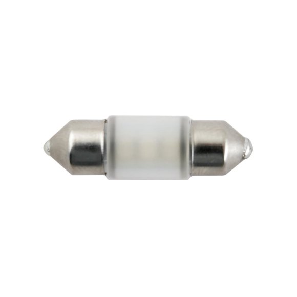 MTF T31M5PT