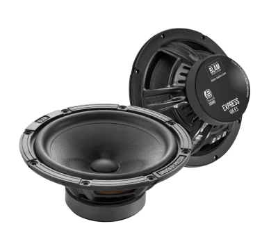 BLAM W165ES