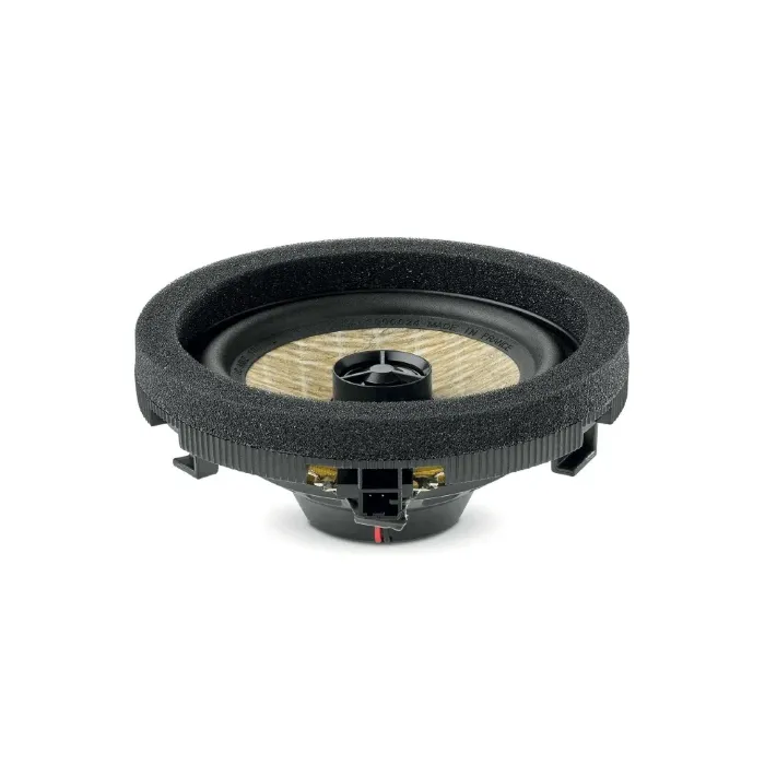 Focal IC MBZ 100 V2