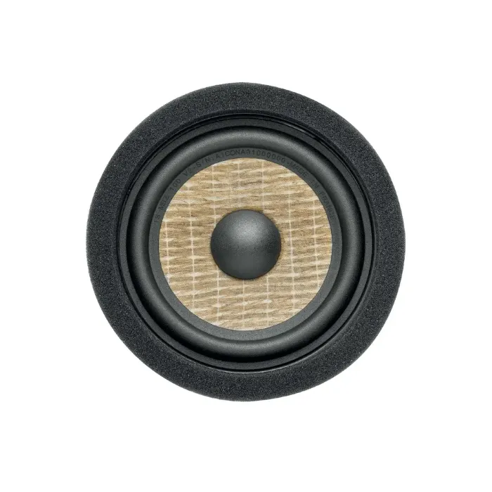 Focal IS MBZ 100 V2