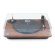 Elipson Chroma 400 Walnut