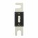 DL Audio Phoenix ANL Fuse 250