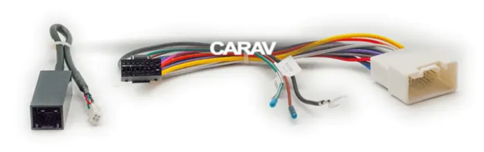 CARAV 16-010