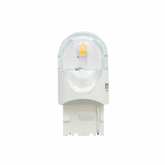 MTF NWY21W