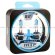 MTF HTN1281