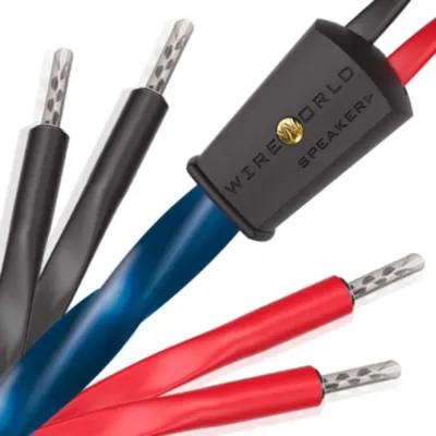 Wireworld Oasis 10 Biwire Speaker Cable 2.0m Pair