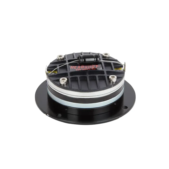 Kicx Headshot TW NEO-37