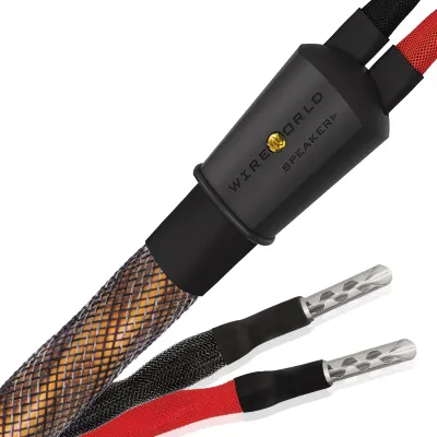 Wireworld Eclipse 10 Speaker Cable Pair (ECS3.0MB-10) 3.0m