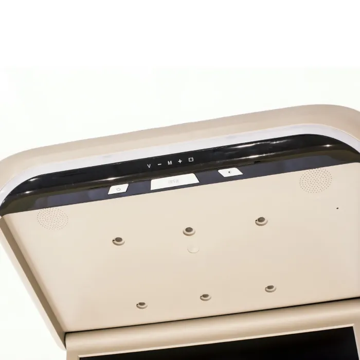 AVEL AVS1920MBE + Xiaomi Mi TV Stick + AV1252DC