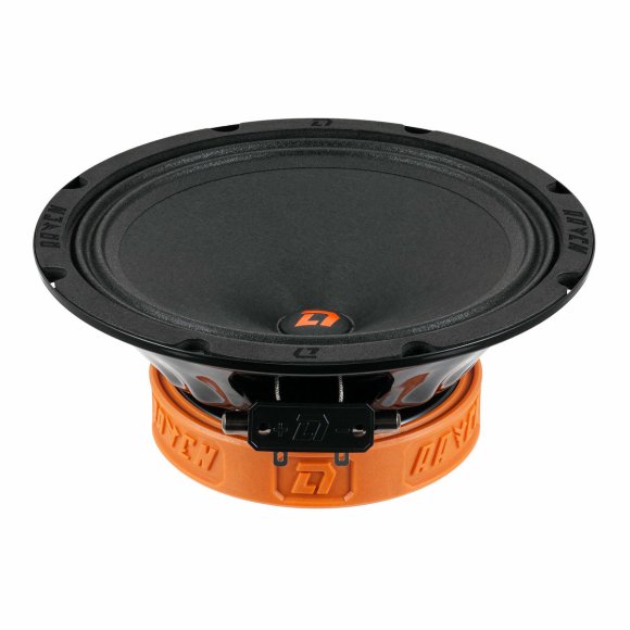 DL Audio Raven 200 V.2