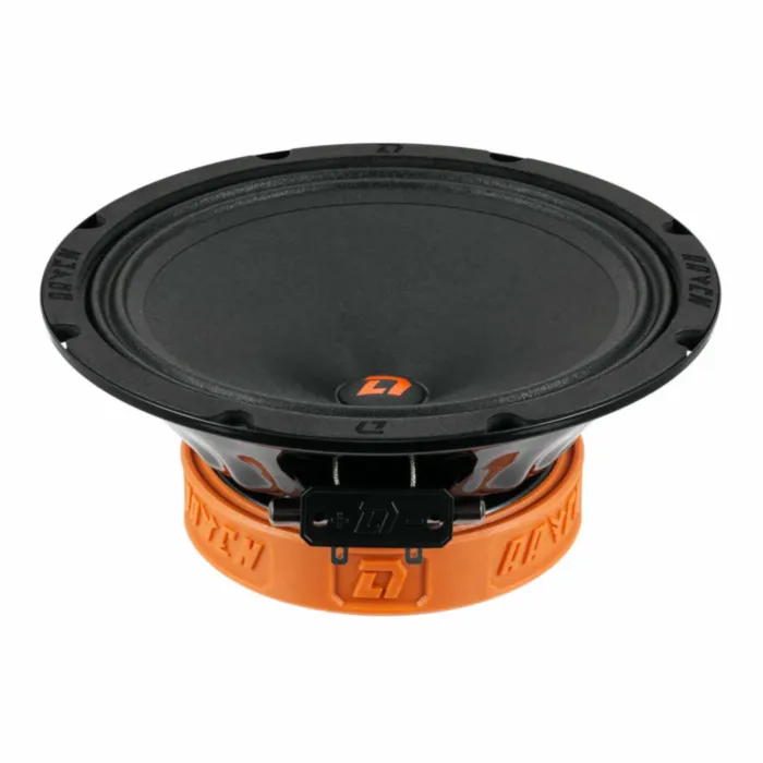 DL Audio Raven 200 V.2