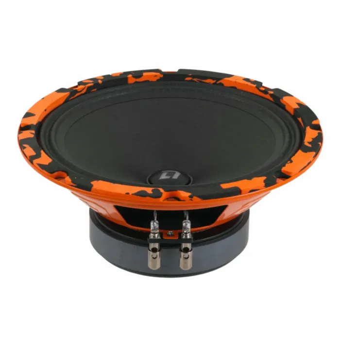 DL Audio Gryphon Pro 200 SE