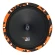 DL Audio Gryphon Pro 200 SE