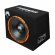 DL Audio Piranha 12A SE 2.1