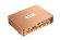 GOLDHORN P2 DSP Pro