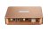GOLDHORN P2 DSP Pro
