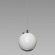 Elipson Planet Ceiling Mount M Silver