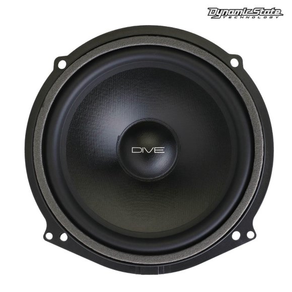Dynamic State DAU-W202