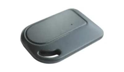 Pandora Брелок IS 250/350