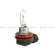 MTF HS1209