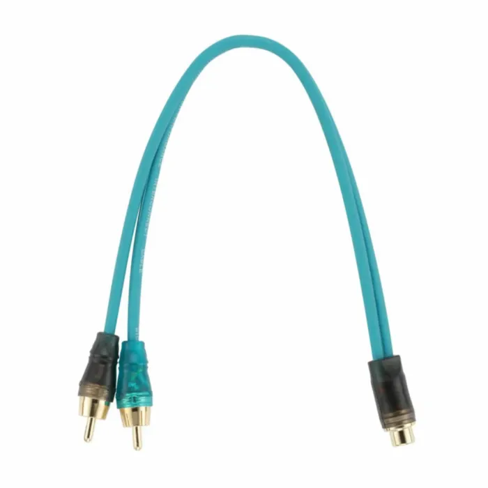 ORIS ELECTRONICS Y-M21