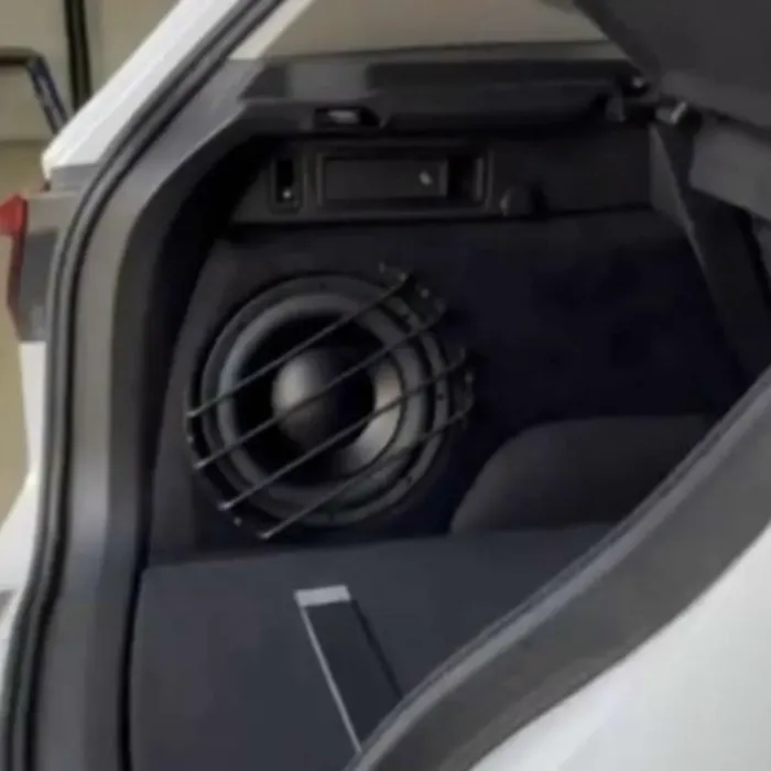 Sennuopu P-10SQ Passive