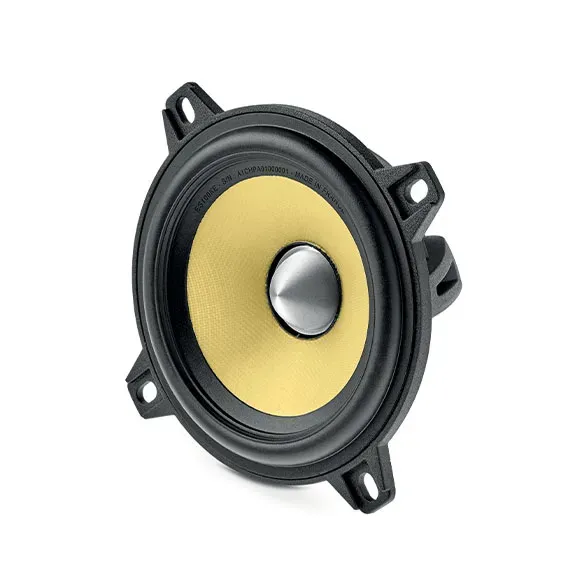 FOCAL ES 100 K EVO