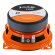 DL Audio Barracuda 100