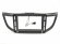 INCAR RHO-FC298