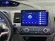 INCAR RHO-FC300