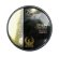 Phoenix Gold ZPR654