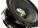 Phoenix Gold ZPR654