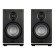 Magnat Signature Edelstein Black