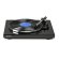 Rekkord Audio F400 High gloss black (2M Red)