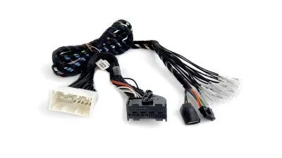 Audison APBMW REAMP 2