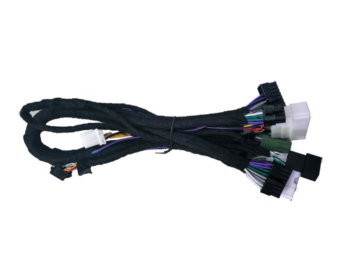 GOLDHORN A2B PNP Harness for Seal/Sealion/Denza D9/Tang/Han