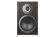 Premiera DS-501 Mocco